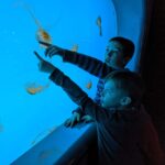 visiter l'aquarium de saint malo en famille. Gîte en bretagne. Vacances en famille en bretagne